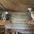 African Grey young adult breeding pair 5 thumbnail