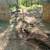 Stump Grinding and Yard Service's 7 thumbnail