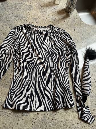 Zebra costume 1