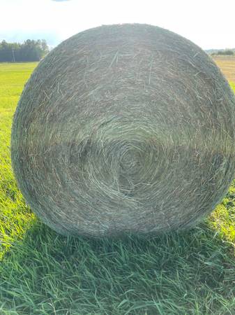 Meadow Hay 1