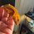 Crested Geckos 11 thumbnail