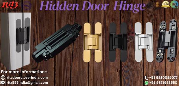 Hidden Door Hinges 1