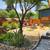 Central Guerneville Mid Century *1 Bedroom House For Rent- Furnished 2 thumbnail