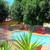 Updated Interior, Large, Comfortable Pool - 2 Bed Apt + Pets OK 9 thumbnail