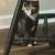 Cats 3 thumbnail