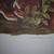 3 AUDUBON pix / pr - select from 3 - Meadow Lark; Mallard; Wild Turkey 11 thumbnail