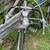 Vintage Ross Men’s 10-Speed Road Bike (1974) 4 thumbnail