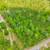 2.46 Acres – Builder/Developer Special 3 thumbnail