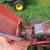Gravely 5260 2-wheel Tractor w/30” Brush Hog 10 thumbnail