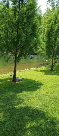 $130 / 1 habitación - Cabañas en alquiler / Bristol Race (Johnson City, TN)63419721279363122