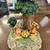 Vintage Fontanini Roman Nativity scene musical box circa 1998 1 thumbnail