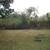 2BD/1BA COTTAGE 14 thumbnail