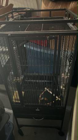 Medium size iron bird cage 1