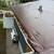 NorthWolf Roofing & Construction - Free Estimates ! (773) 824-8510 12 thumbnail