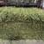 2025 4th  Cutting Alfalfa Small Bales(Nice and Green) 2 thumbnail