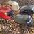 Riding ride on lawnmower tractor hoods 1 thumbnail