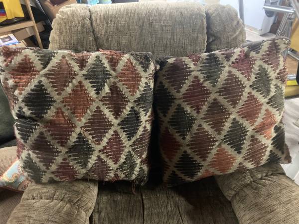 Decorative Throw pillows 1
