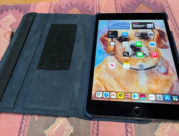 iPad mini 4th generation 1