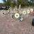 8 Wheel Hay Rake 1 thumbnail
