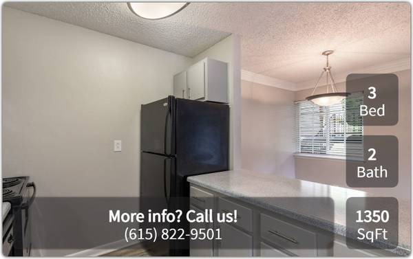 $1,725 / 3br - 1350ft2 - Snuggle up with FIDO in our charming 3 bd, 2 ba! We're pet-friendly! (Hendersonville)63673250344193121
