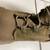 Fire Resistant Military Steel Toe Boots, Combat Boots 4 thumbnail