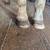 Farrier service 3 thumbnail