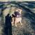 Cane Corso 5 thumbnail