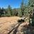 REDUCED!!  10 Plus Forested Acres, Good Well, Quiet, Water Storage 5 thumbnail