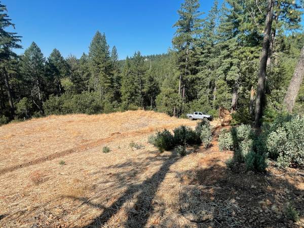 $125,000 REDUCED!!  10 Plus Forested Acres, Good Well, Quiet, Water Storage (Grass Valley)63952105759491124