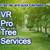 🏠RAMOS Tree Specialist, Removal, Trimming. Landscaping. References🏠 8 thumbnail