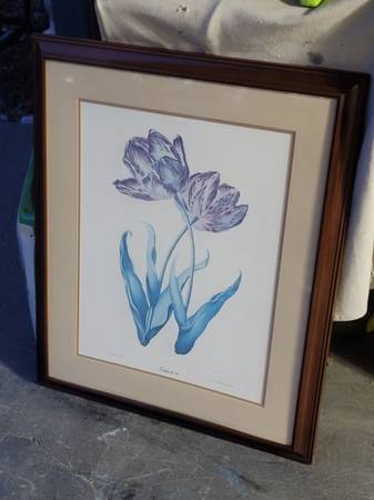 Dark framed elegant tulip art 1