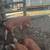 Tamworth cross pigs 6 thumbnail