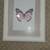 Wall Decor w/ Flower Light 3 thumbnail