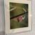 professionally framed bird photo 1 thumbnail