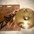 Zildjian 18” A Custom Projection Crash (BRAND NEW) 1 thumbnail