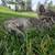 Cute Kittens 5 thumbnail
