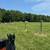 Grading and groundwork, garden tilling, field/brush mowing 5 thumbnail