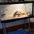 ball python 1 thumbnail