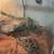 ball python snake 1 thumbnail