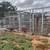 LARGE   CHICKEN  OR  PEACOCK   CAGE 6 thumbnail