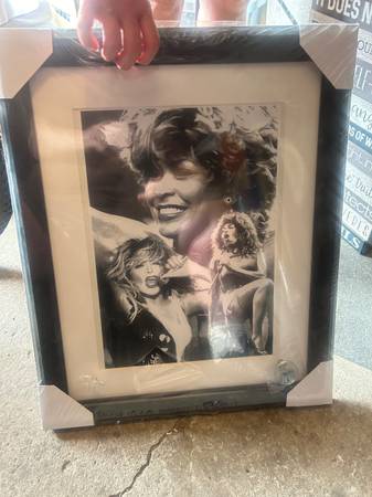 Tina Turner print 1