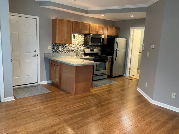 1 Bedroom appartment 1