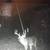 Big Thicket Hunting lease. 1 thumbnail
