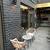 New professional & medical spa offices at VOCO Astoria Hotel 3 thumbnail