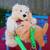 Stuffed toys 2 thumbnail