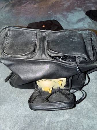 FREE – Pump In Style Breast Pump with Carrying Bag