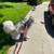 Pet sitter, pet boarding, dog sitter  $20.00 coupon  on 1st rover booking 16 thumbnail