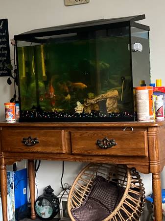 Aquarium 38gal dbl filter system 1