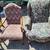 Chairs 1 thumbnail