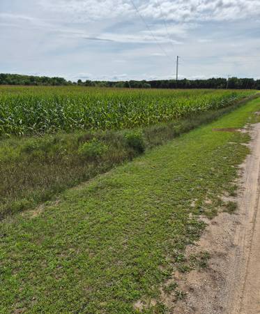 $139,000 22 Acres near Chief Lake (Kaleva,)64037724604291124